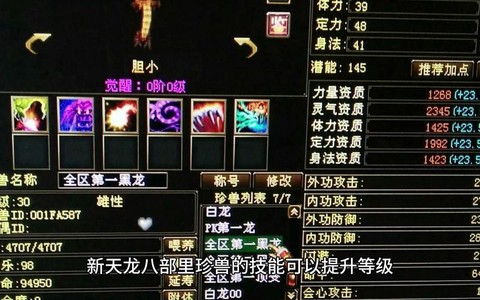 天龙八部如何捕捉珍兽