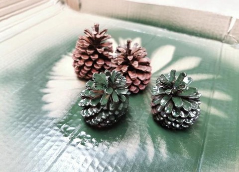 迷你世界松果怎么获得