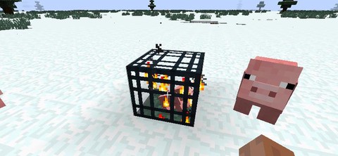 我的世界刷怪箱有什么用[图2]